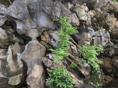 -荣府宴(南阳路店)