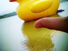 -济南国际园博园