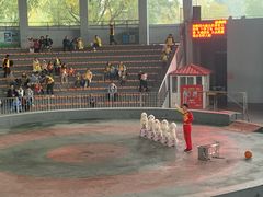 -石家庄市动物园