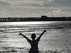 -宝安西湾红树林湿地公园