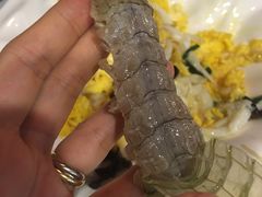 腌皮皮虾-渔娘渔家丹东海鲜(东直门店)