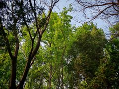 -苏州文庙(姑苏区)