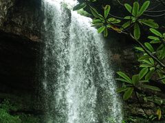 -龙苍沟森林公园