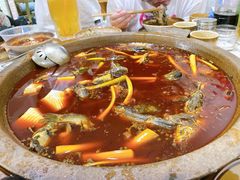 -谭记石锅鱼府(三道堰店)