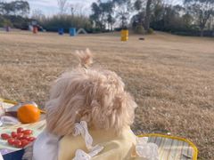 -上海崇明金茂凯悦酒店