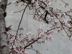 -龙美术馆(西岸馆)