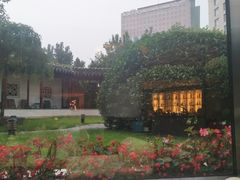 景观位-亮马河饭店翠雅咖啡厅