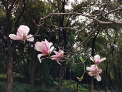 -晓港公园