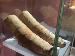 -巴音郭楞蒙古自治州博物馆