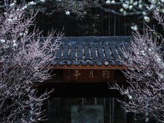 -杭州植物园