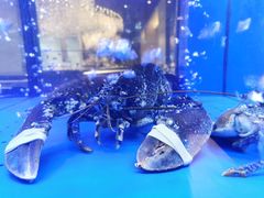 -AZUR聚(香格里拉饭店)