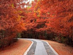 -白鹭湾湿地公园