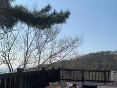 -燕窝岭