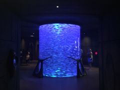-亚特兰蒂斯水世界冒险乐园