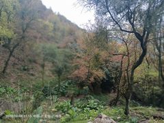 -广州市石门国家森林公园