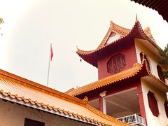 -深圳仙湖植物园