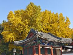 -申德勒加油站西餐厅(日坛路总店)