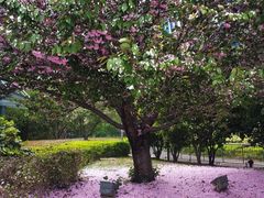 -白塘生态植物园