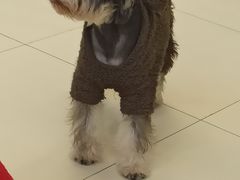 -怪兽屋·羊驼·猫咖·狗咖(俊华广场店)