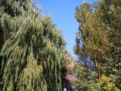 -长春公园(普阳街道)