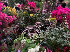 -人民公园(罗湖区)