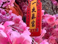 -北京欢乐谷