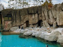 -上海野生动物园