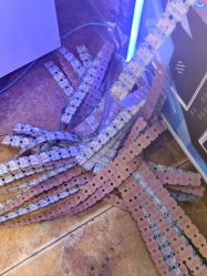 -卡通尼·Safari非洲探索乐园·生日会(金桥国际商业广场店)