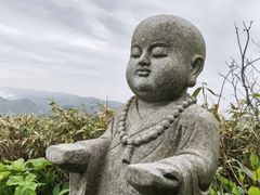 -武陵山森林公园
