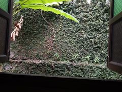 -叶氏水木堂盲人医疗按摩所
