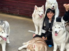 -TrueLove @ Neverland (Husky Cafe)