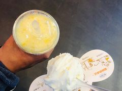 -野人先生现做冰淇淋(北京顺义祥云小镇店)