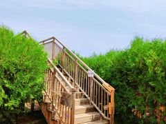 -亲兄弟真人CS团建拓展基地