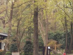 -灵谷景区