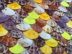 -摩登百货(岗顶店)