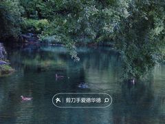 -西湖游船