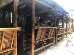 -Jungle Kitchen