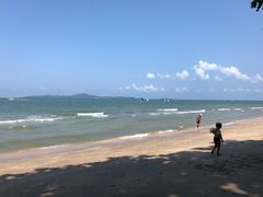 -卷心菜和避孕套餐厅(Pattaya)