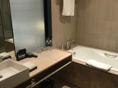 -济南绿地美利亚酒店