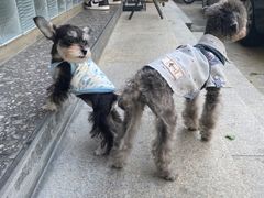 -BE NORMAL CAFE(霞溪路店)