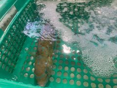-班赞海鲜市场