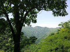 -藏龙百瀑风景区