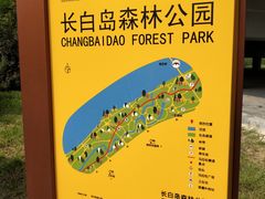 -长白岛森林公园