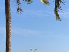 -三亚海棠湾万丽度假酒店