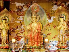 -新加坡佛牙寺龙华院