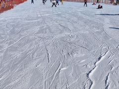 -北京西山滑雪场