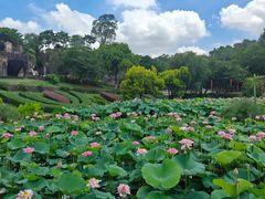 -广州莲花山旅游区