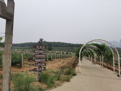 -北京张裕爱斐堡酒庄