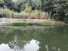 -成都市活水公园