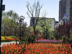 -迎泽公园